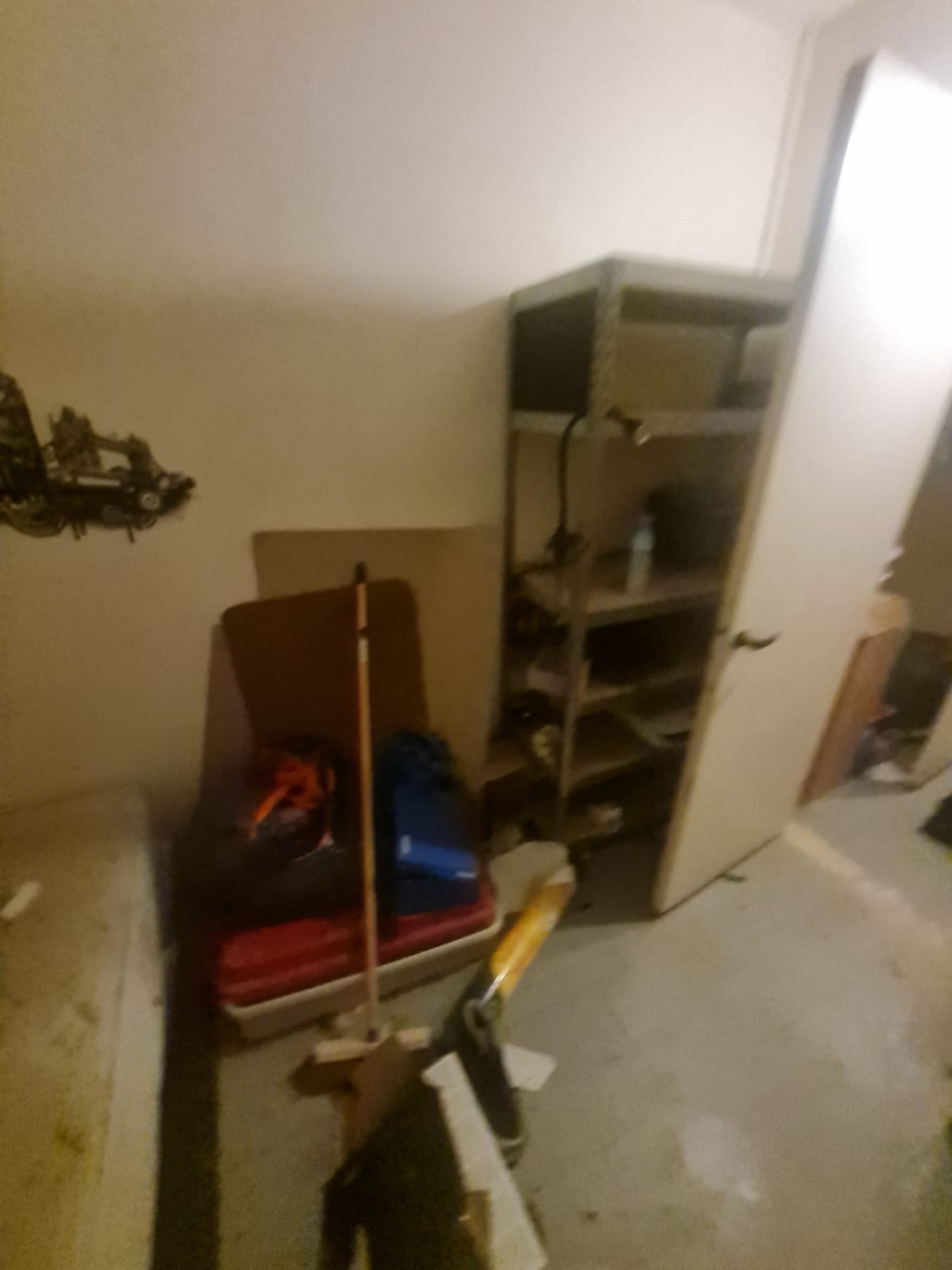 gallery-2 IMG 20241016 WA0060